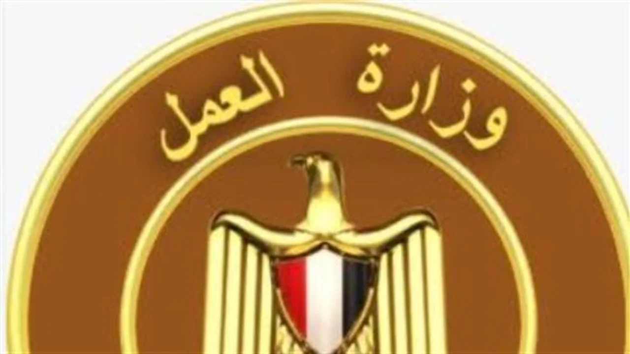 وظائف شاغرة: 10 آلاف جنيه رواتب لسائقي الباصات في شركات النقل الكبرى